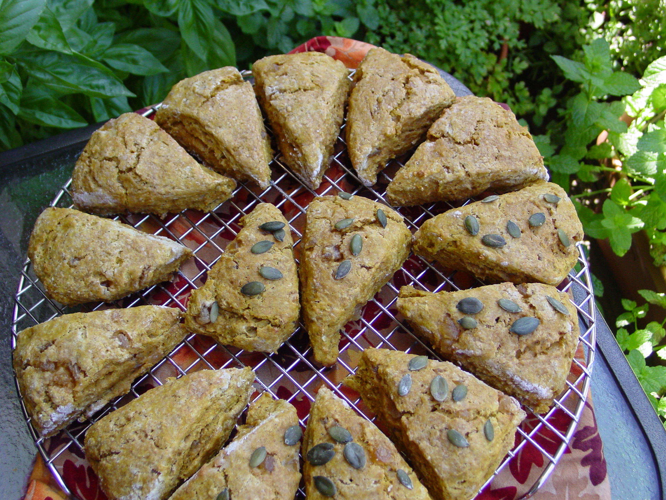 Ginger Pumpkin Scones MIH